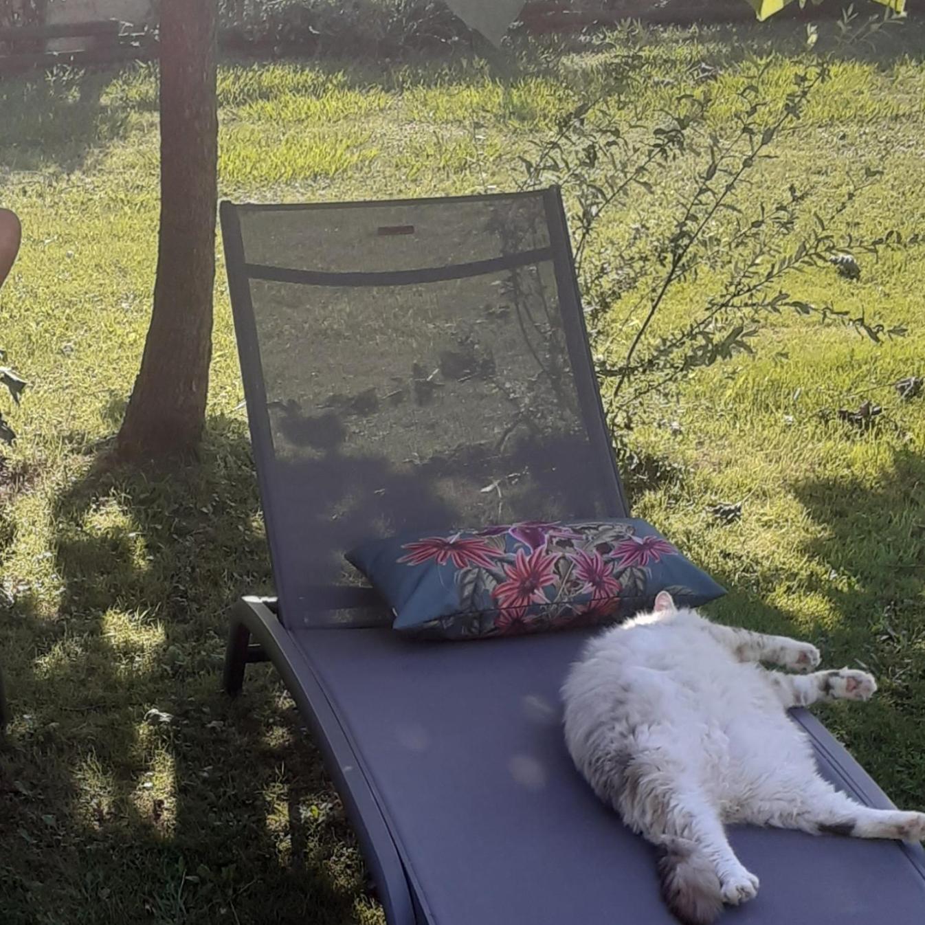 O'Jardin Bed & Breakfast Arthez-de-Bearn Luaran gambar